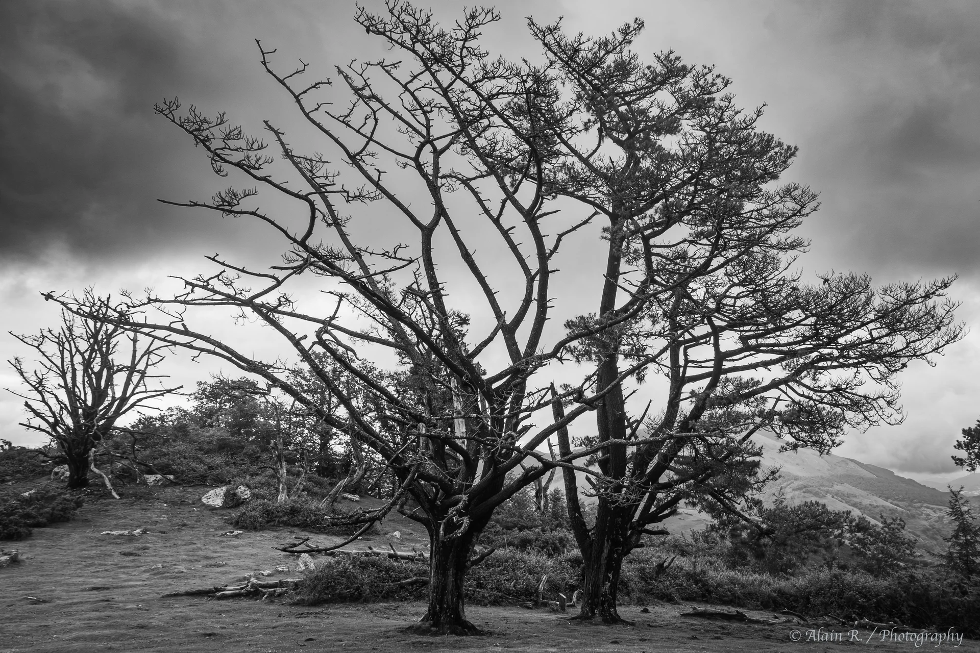 60e anniversaire du Photo-Club Montalbanais - FAIT43.jpg