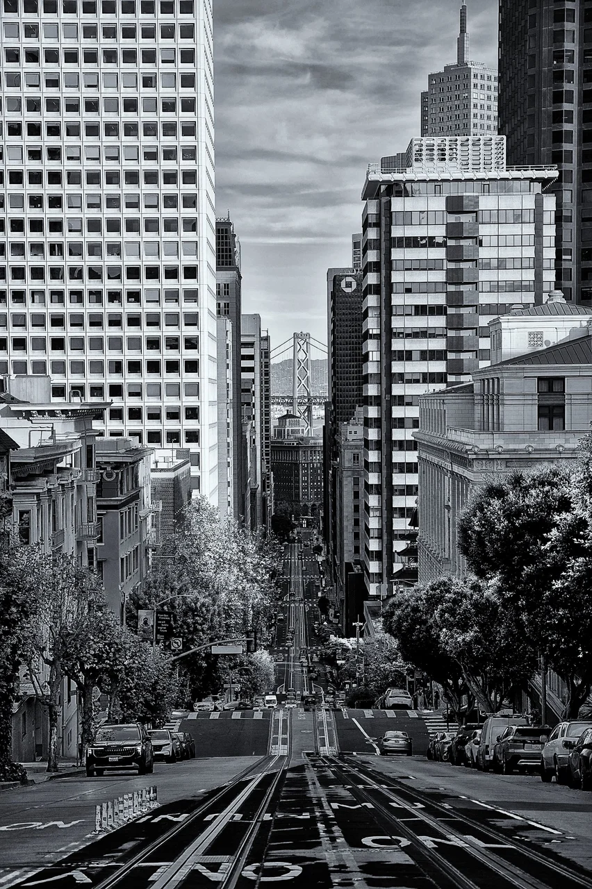 60e anniversaire du Photo-Club Montalbanais - FAIT44.jpg