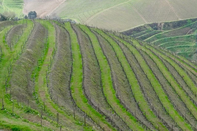 Challenge avril 2025 - 10.jpeg