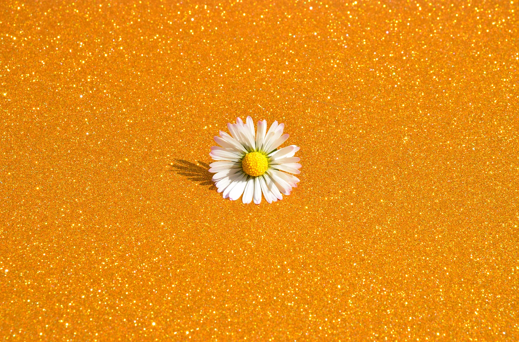 Challenge avril 2025 - 3.jpg