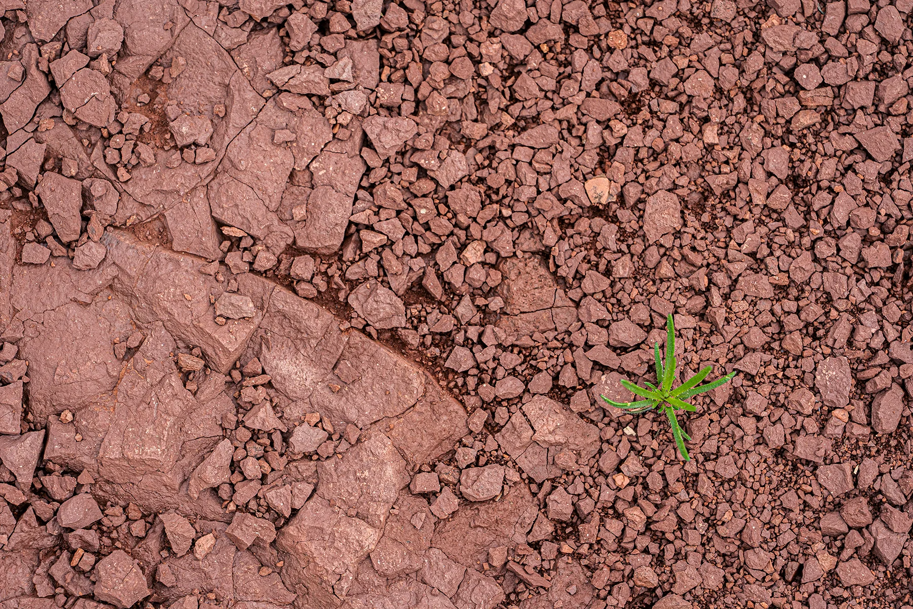 Challenge avril 2025 - 7.jpg