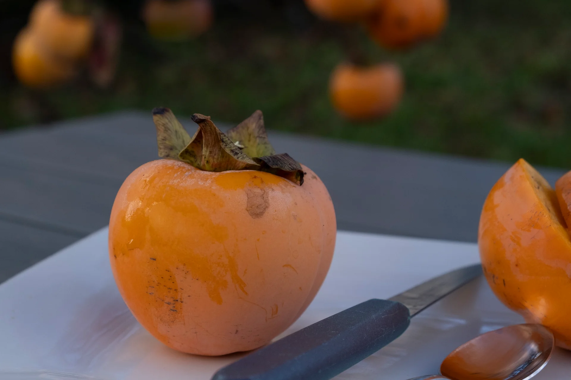 Challenge décembre 2025 - 10.jpg