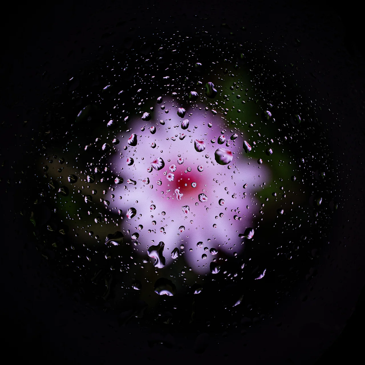 Challenge février 2026