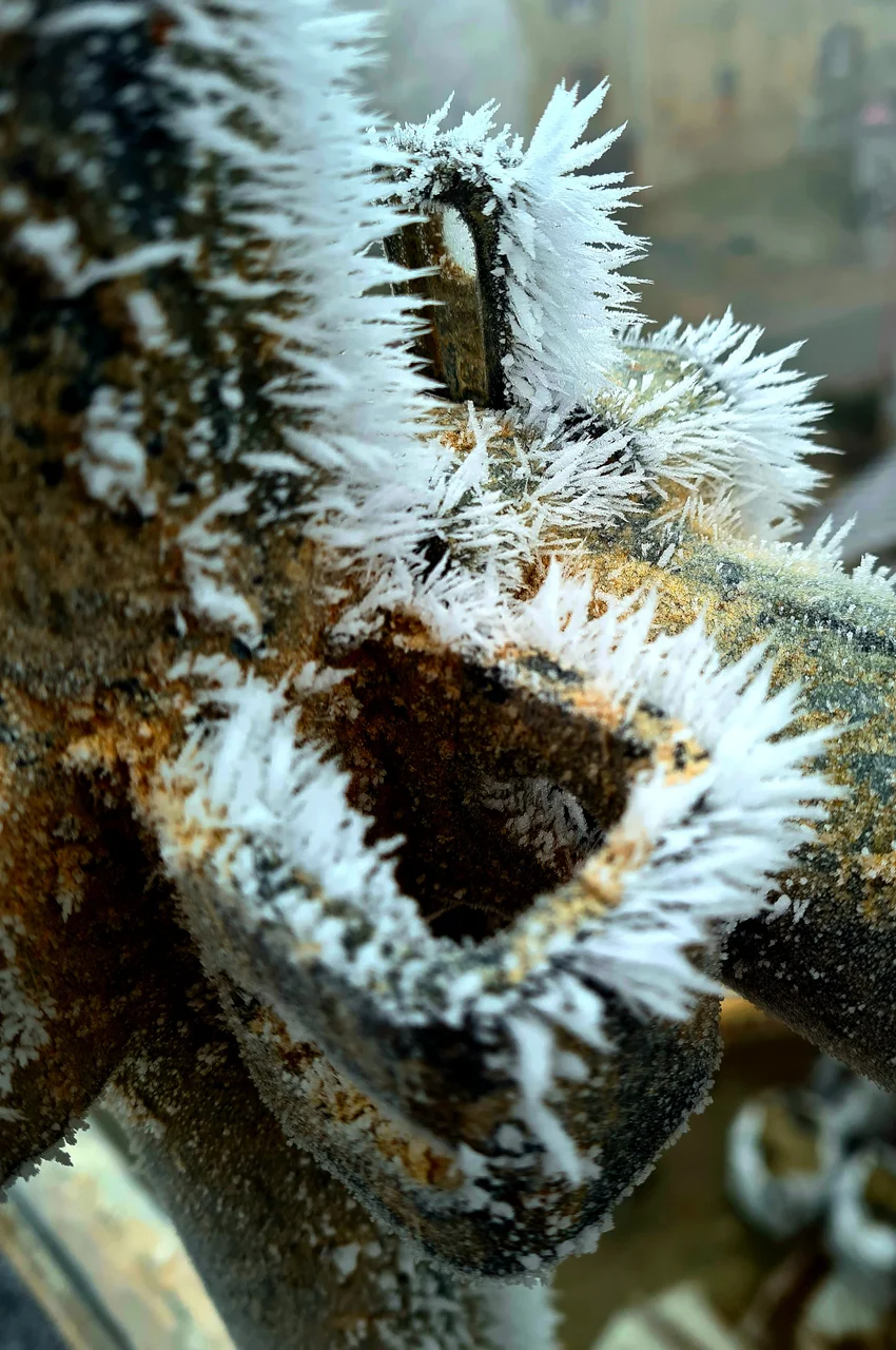 Challenge février 2026 - 10.jpg