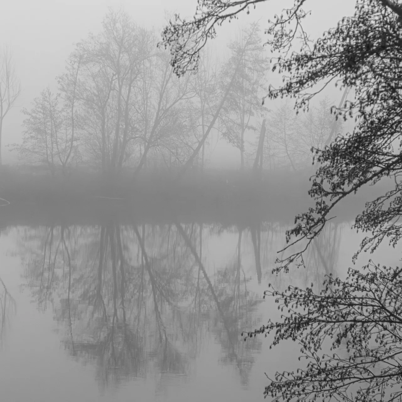 Challenge février 2026 - 2.jpg