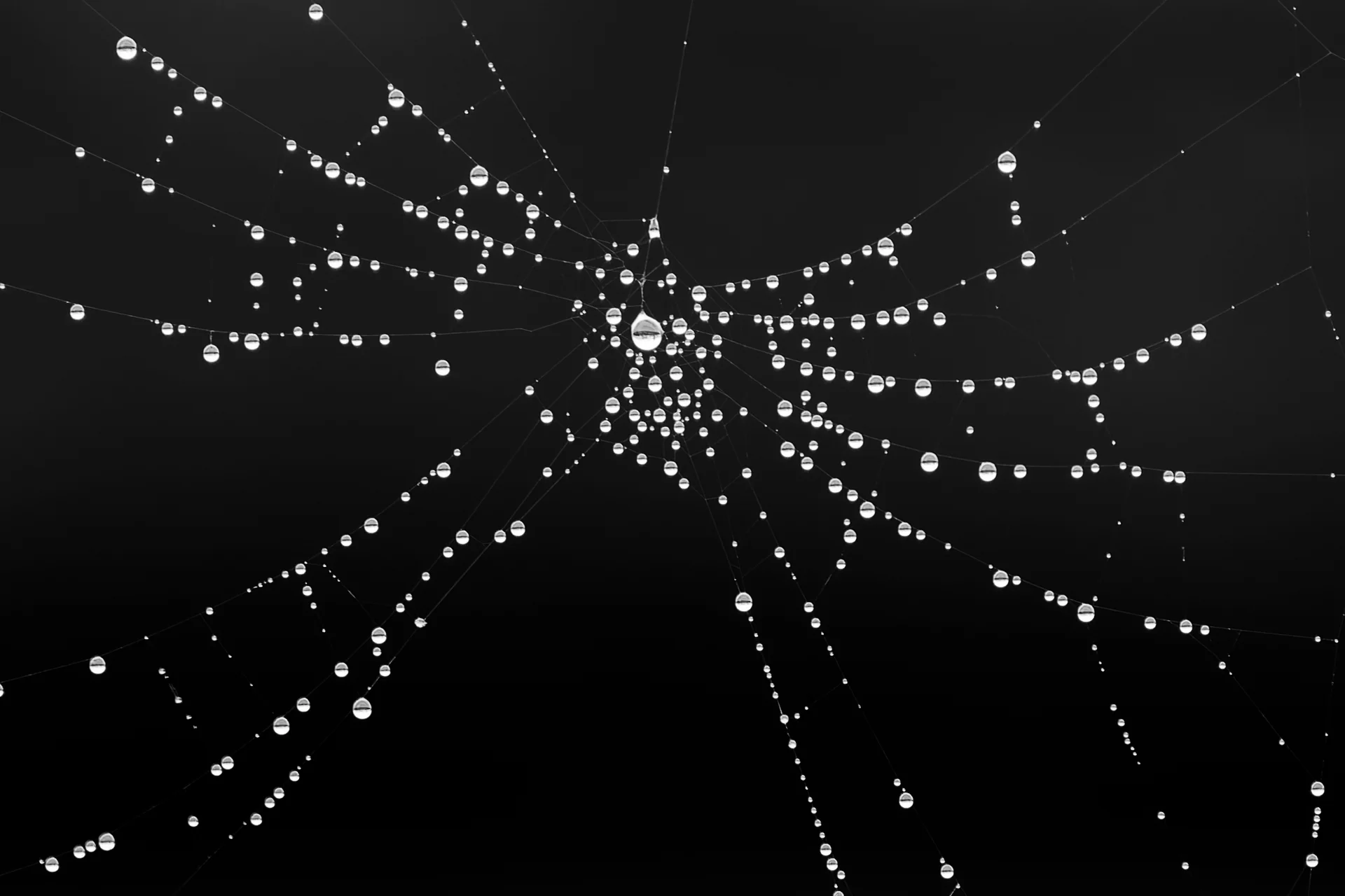 Challenge février 2026 - 3.JPG