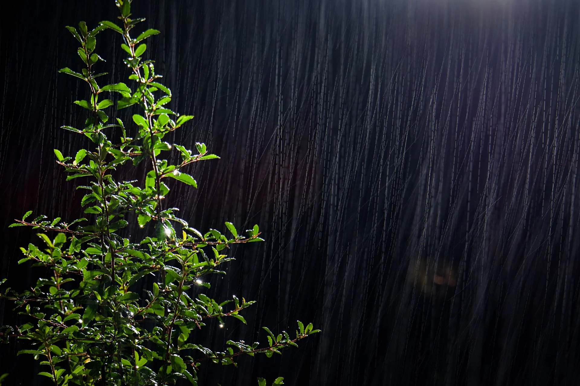 Challenge février 2026 - 5.jpg