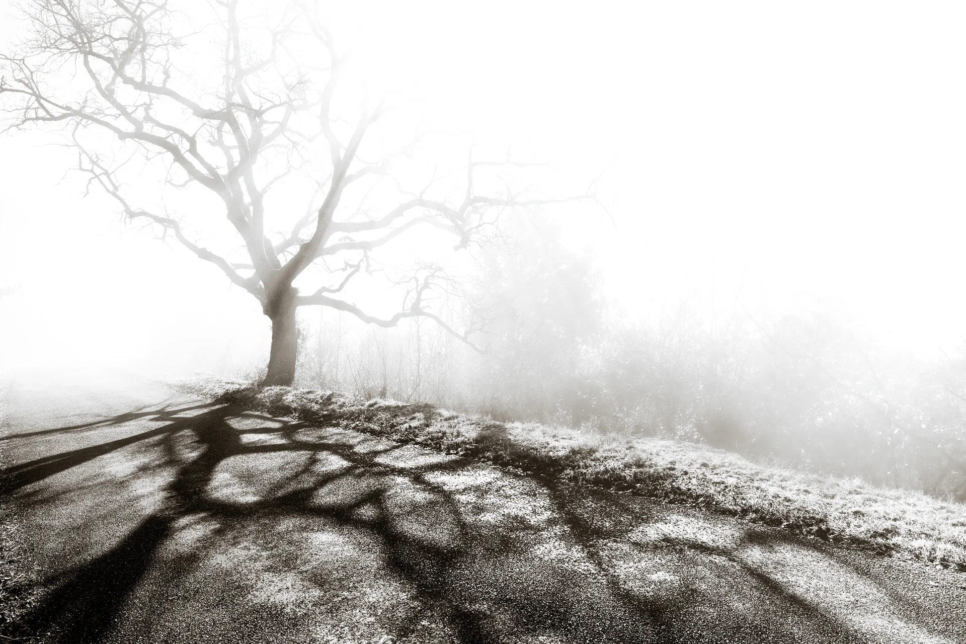 Challenge janvier 2025 - 2.jpg