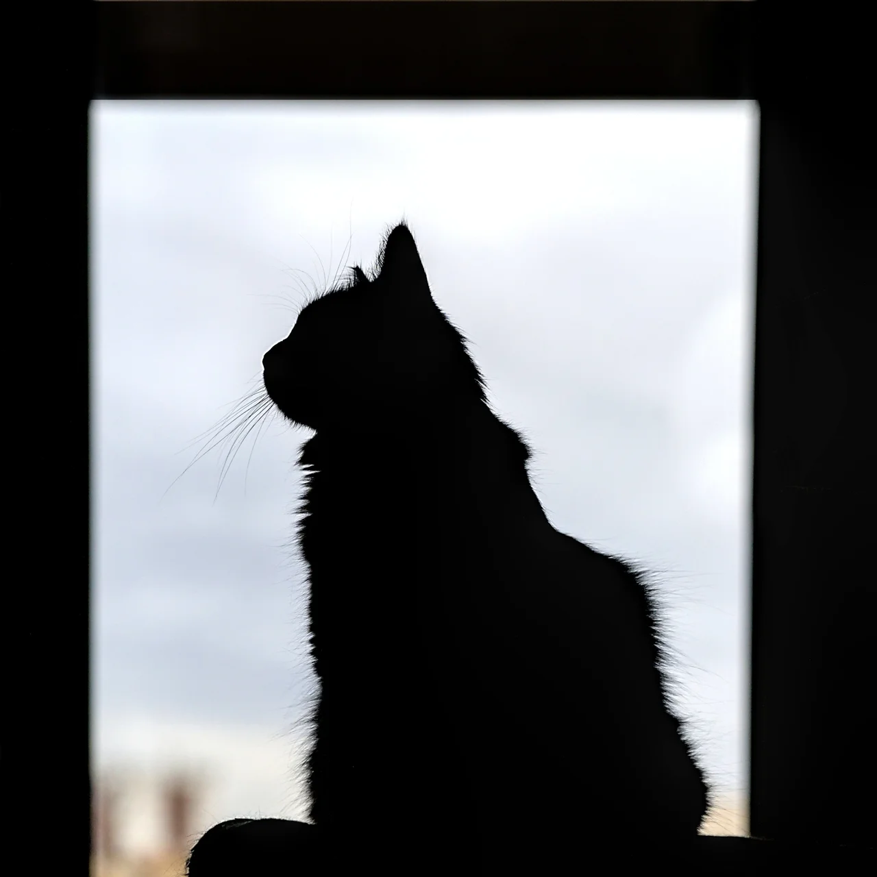 Challenge janvier 2025 - 5.jpg