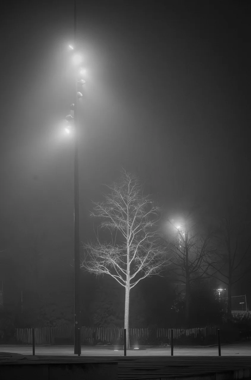 Challenge janvier 2026 - 6.jpg