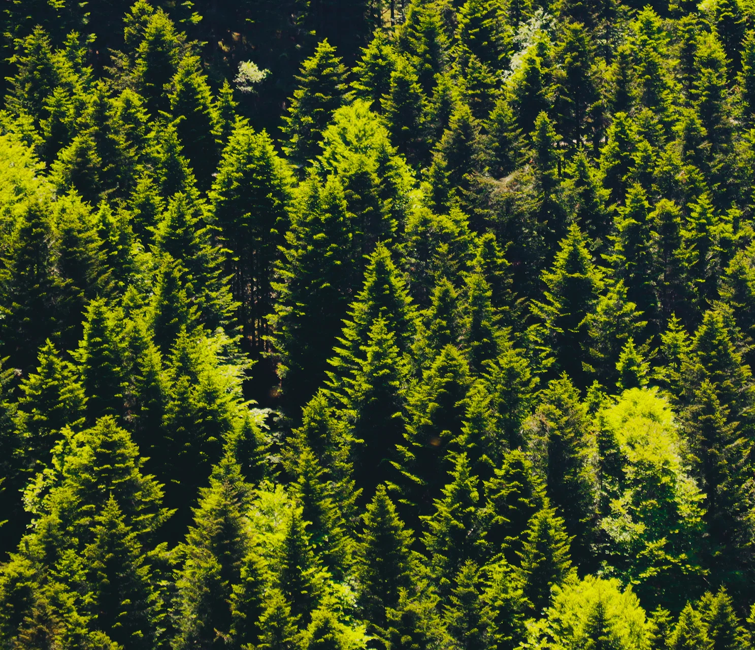 Challenge juin 2025 - 7.jpg