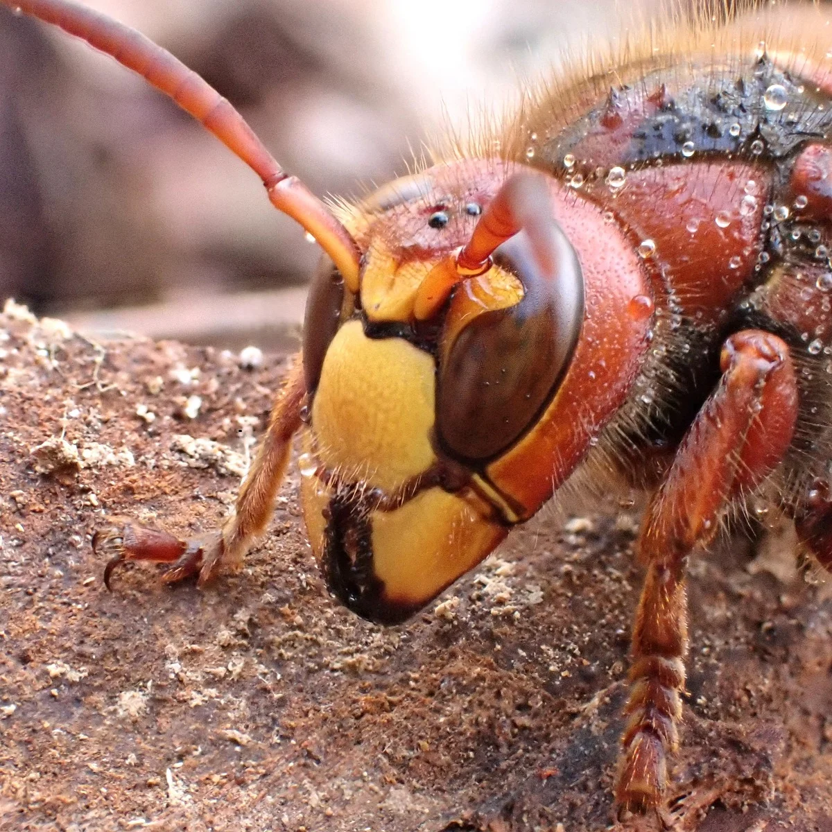 Challenge mars 2025 - 6.JPG