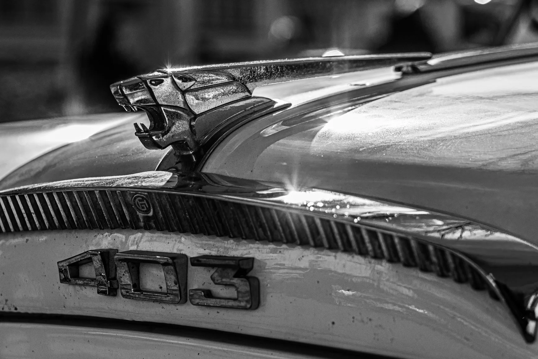 Challenge mars 2025 - 7.jpg