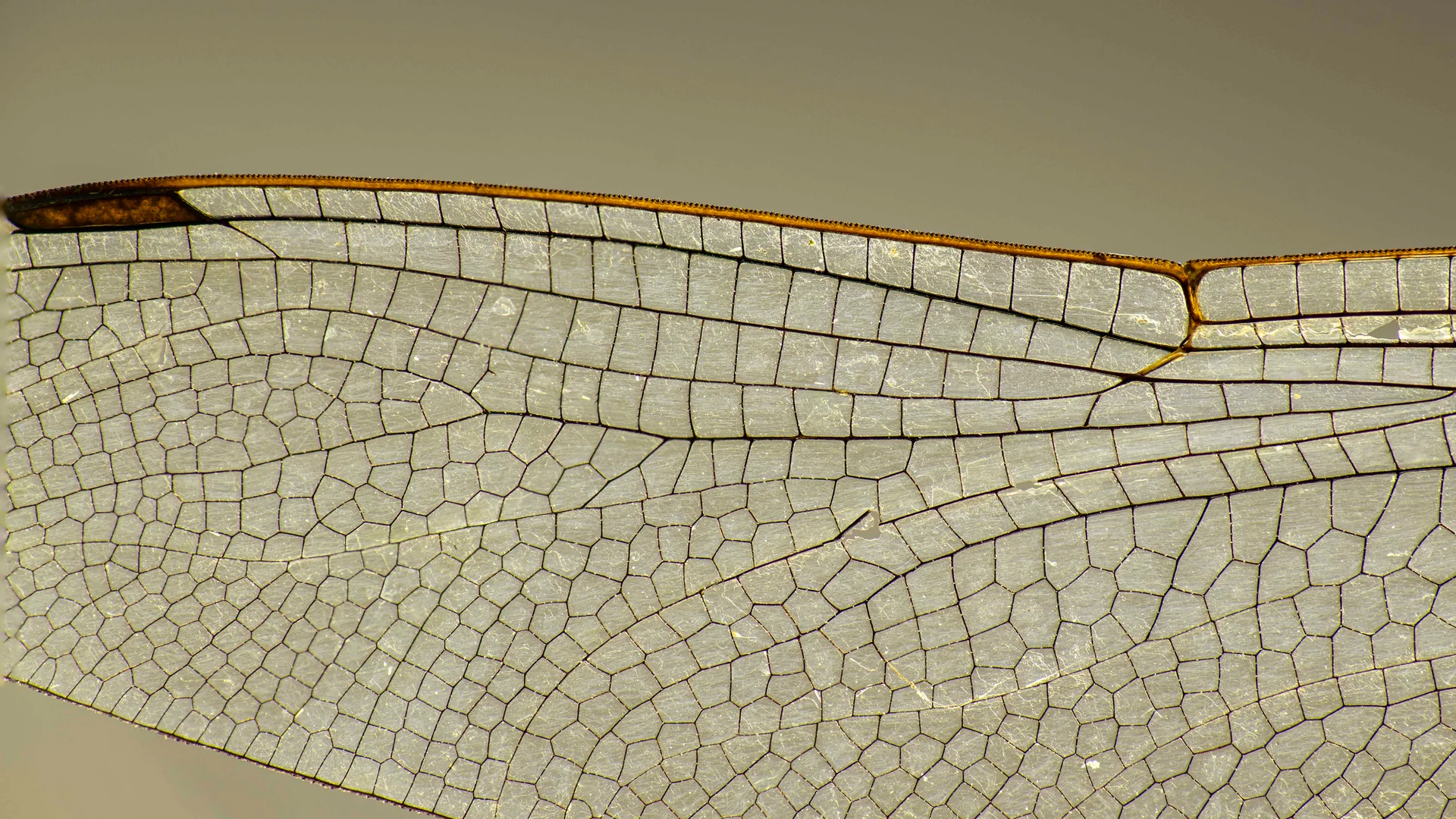 Challenge mars 2025 - 8.jpg