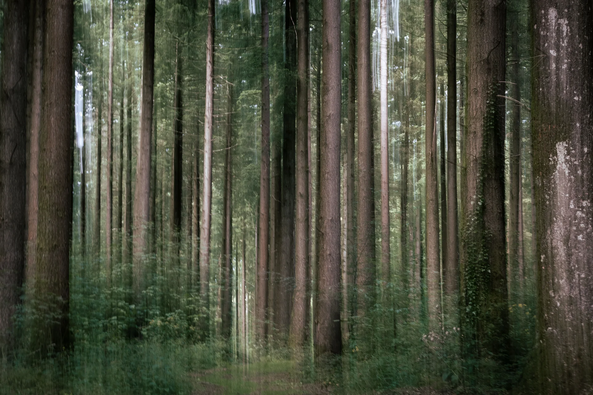 Challenge septembre 2025 - 4.jpg