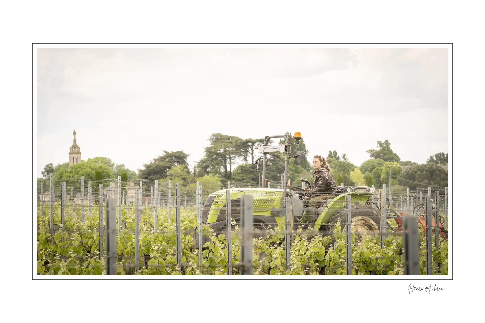 De la vigne aux lèvres - 114.jpg