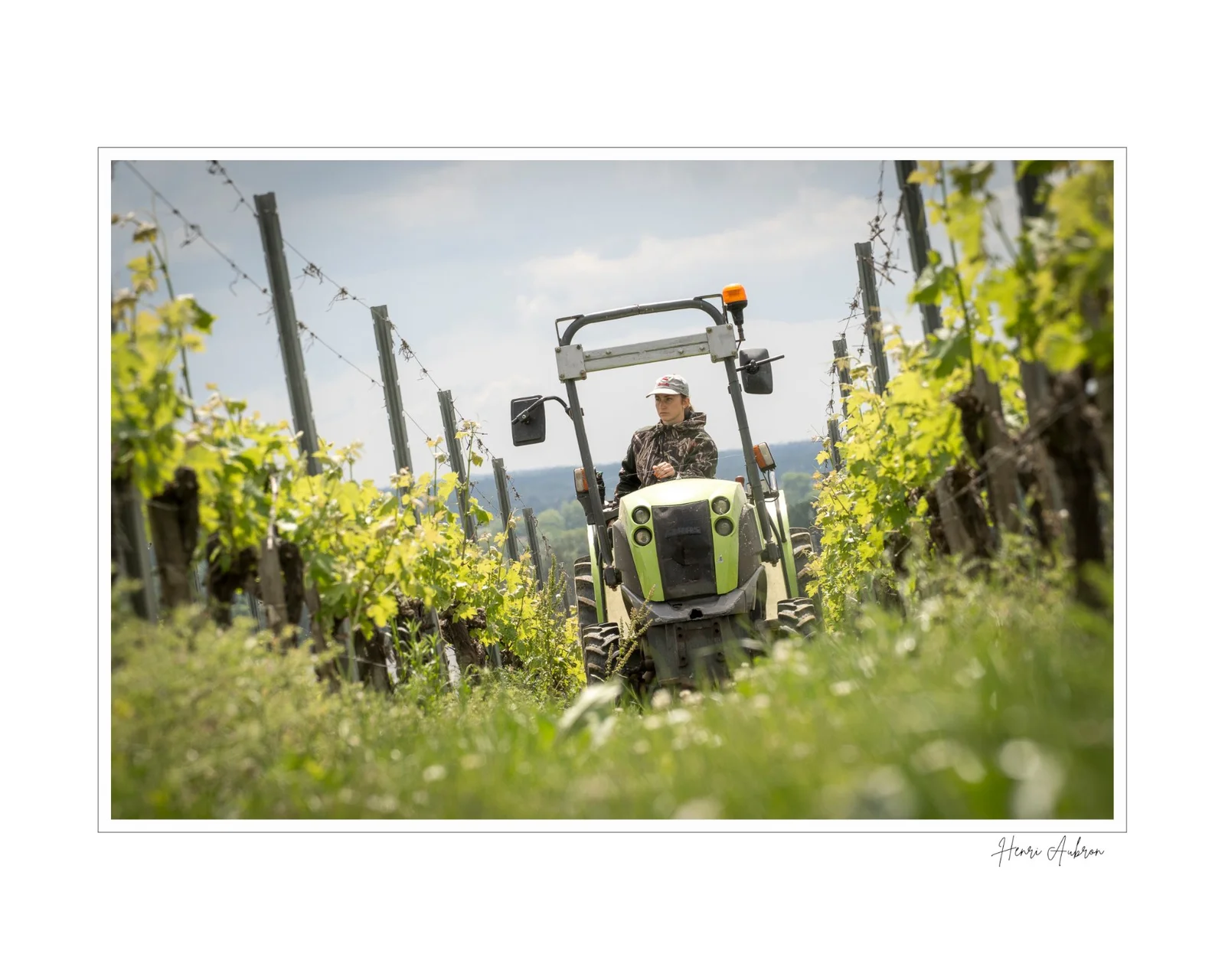 De la vigne aux lèvres - 126.jpg