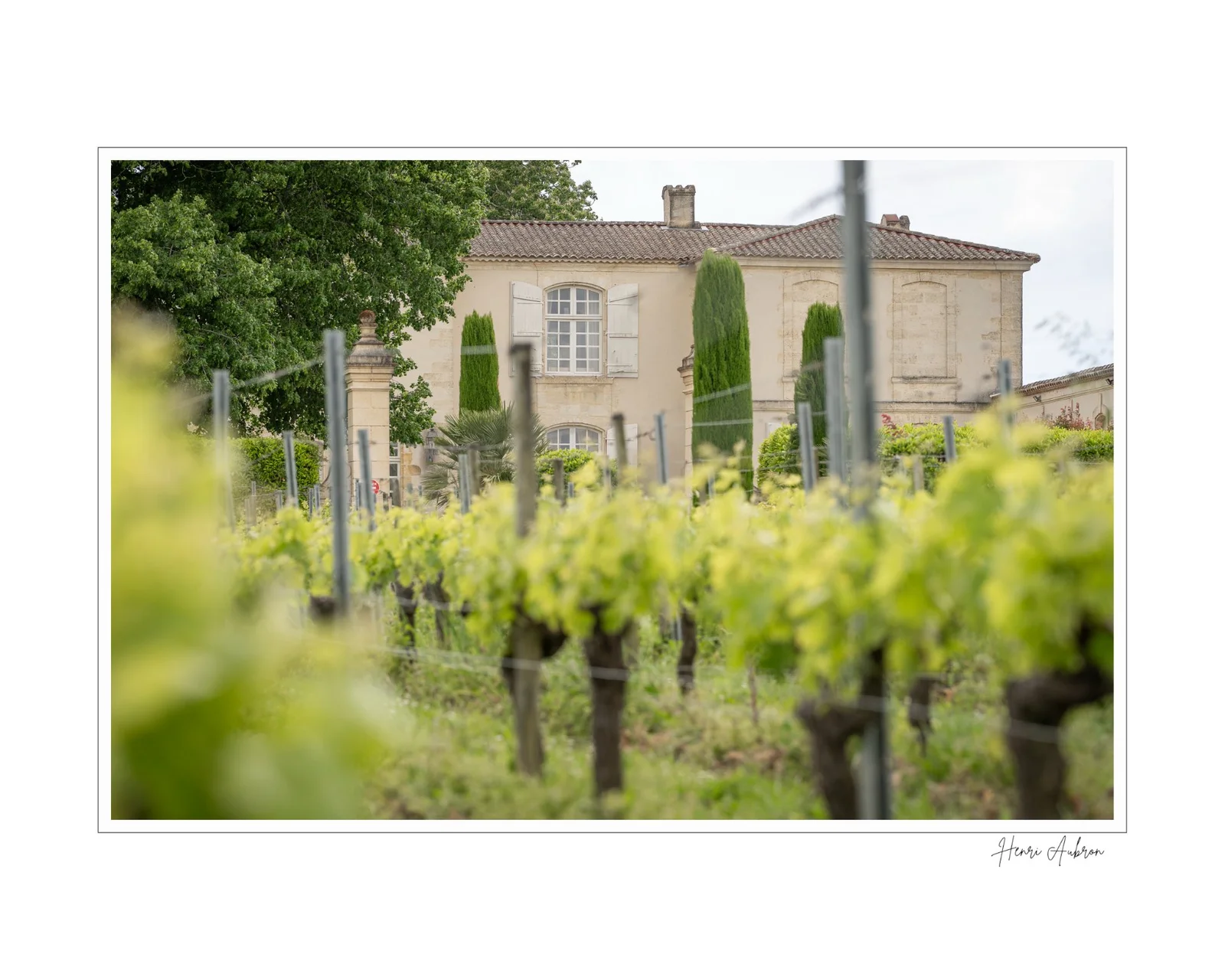 De la vigne aux lèvres - 16.jpg