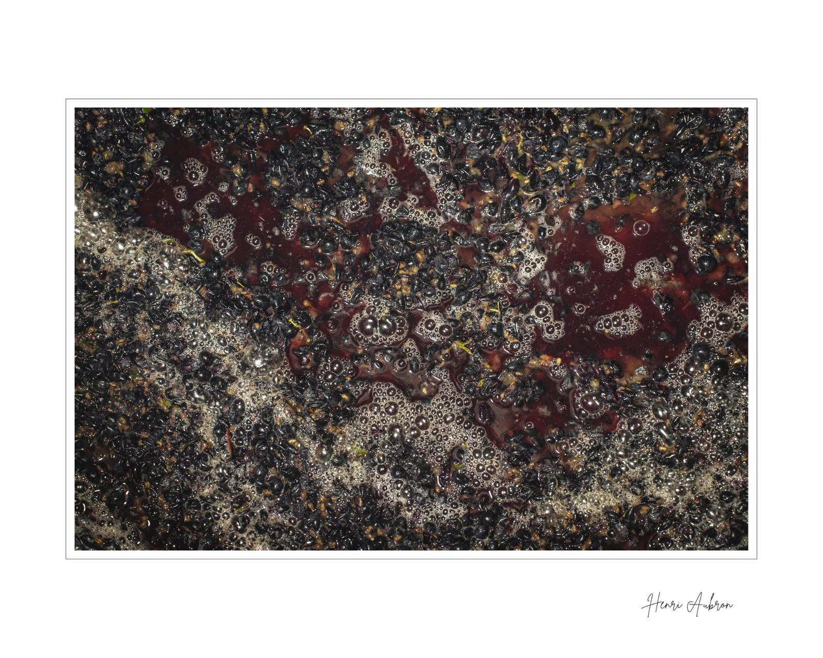 De la vigne aux lèvres - 166.jpg
