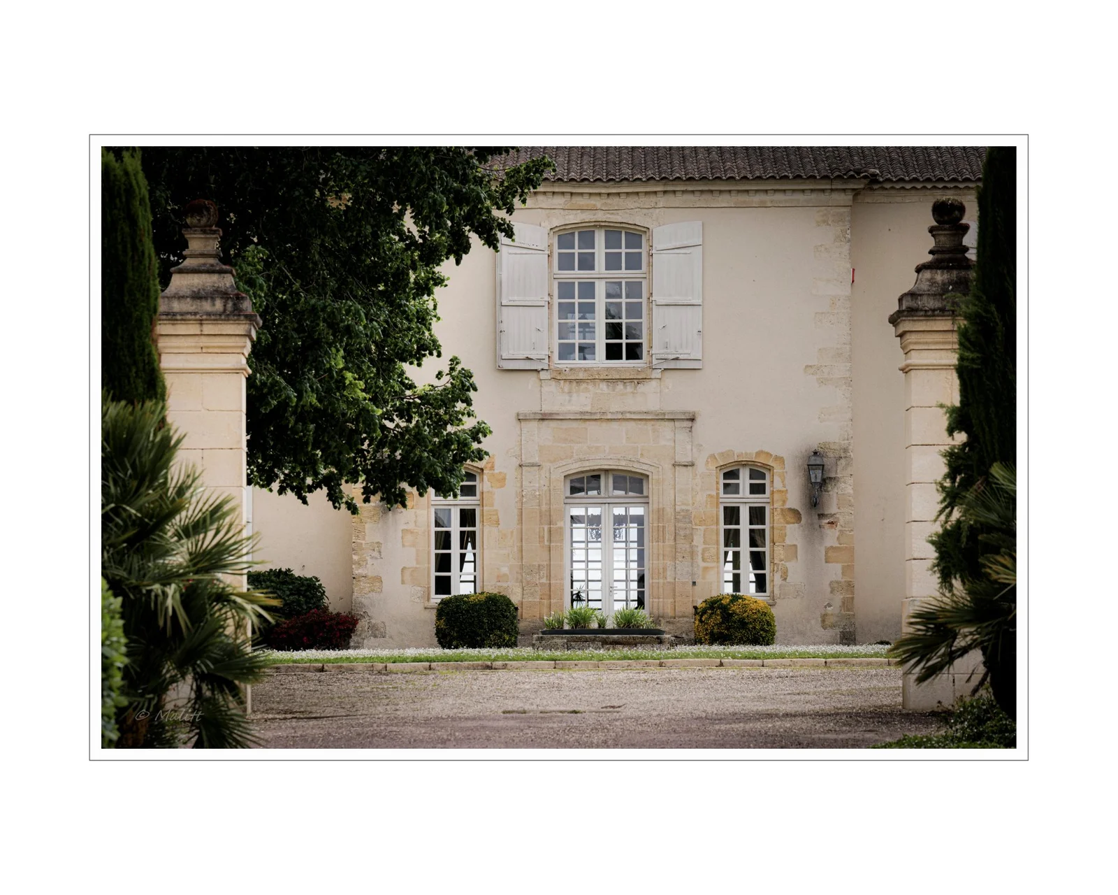 De la vigne aux lèvres - 17.jpg