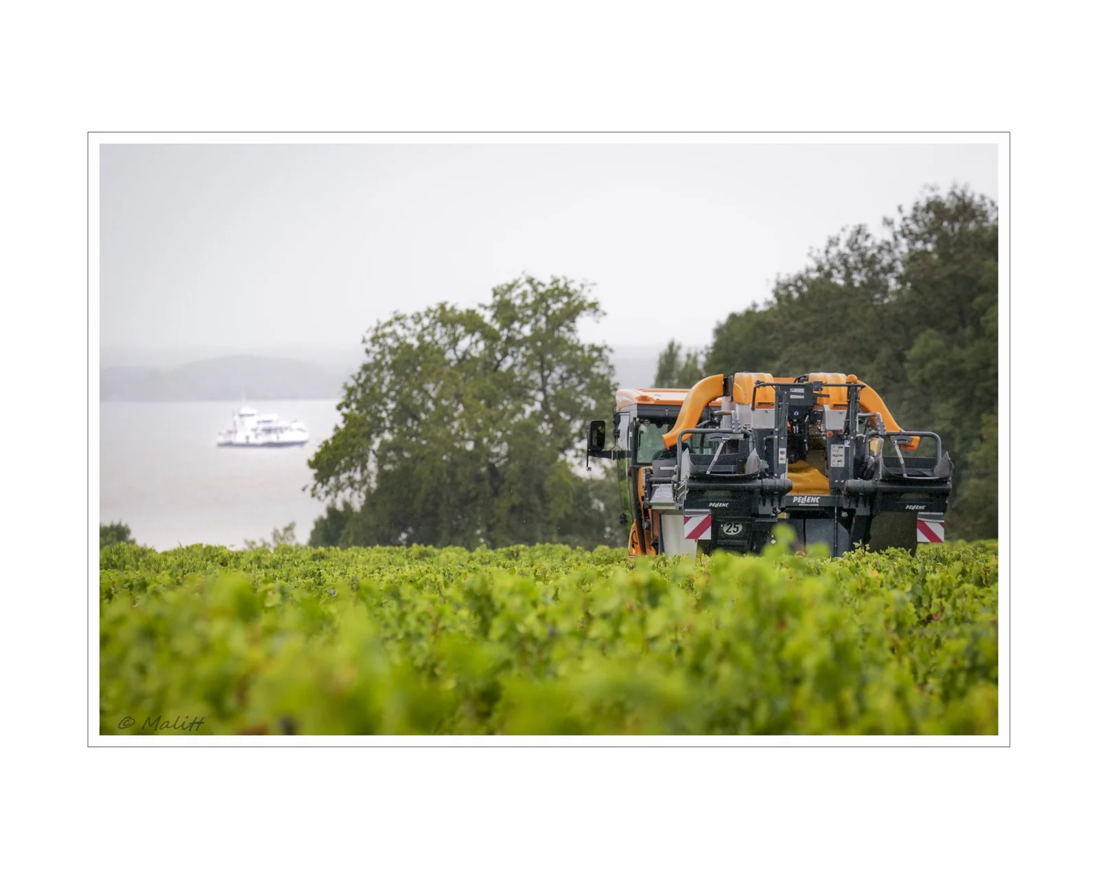 De la vigne aux lèvres - 170.jpg