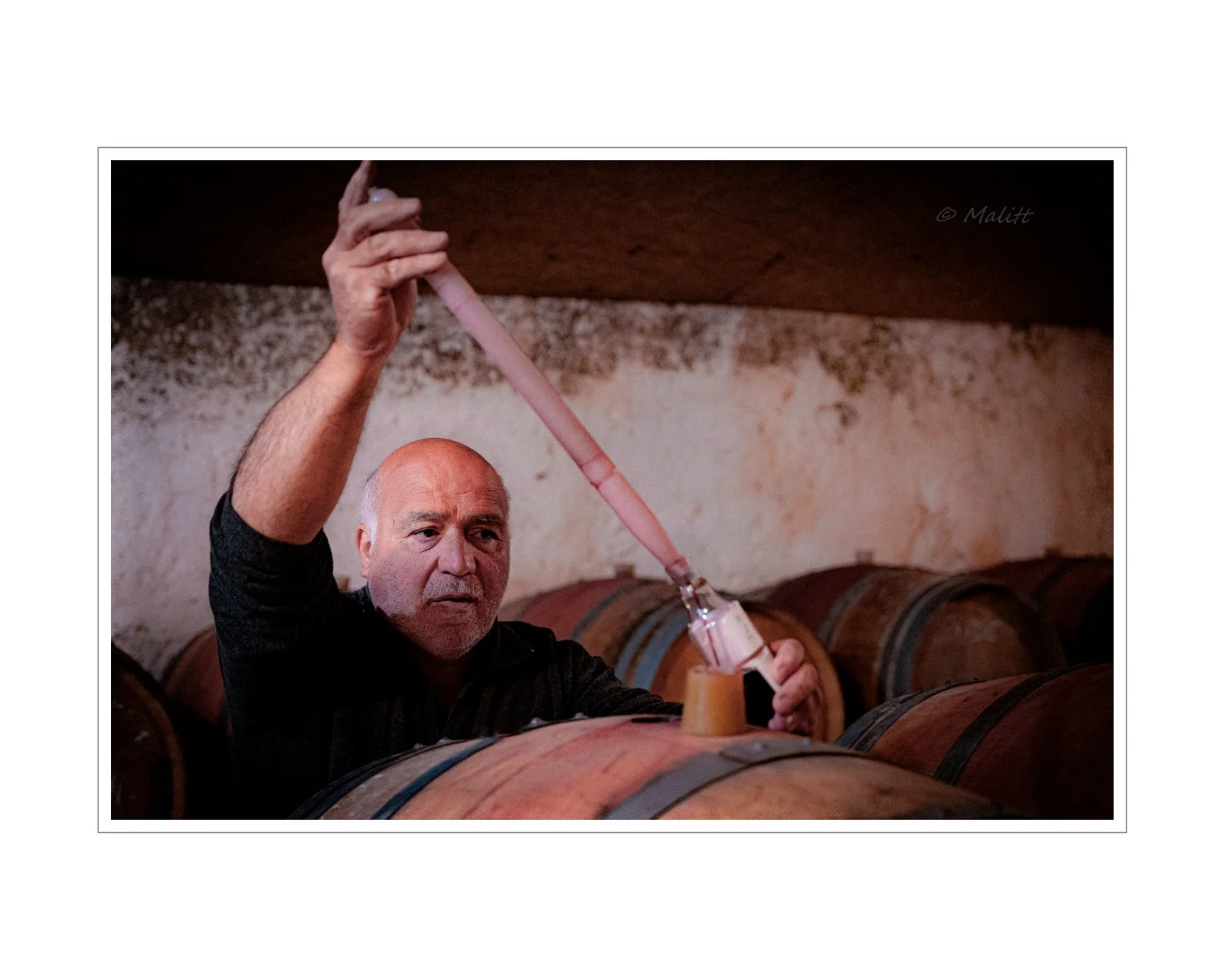 De la vigne aux lèvres - 183.jpg