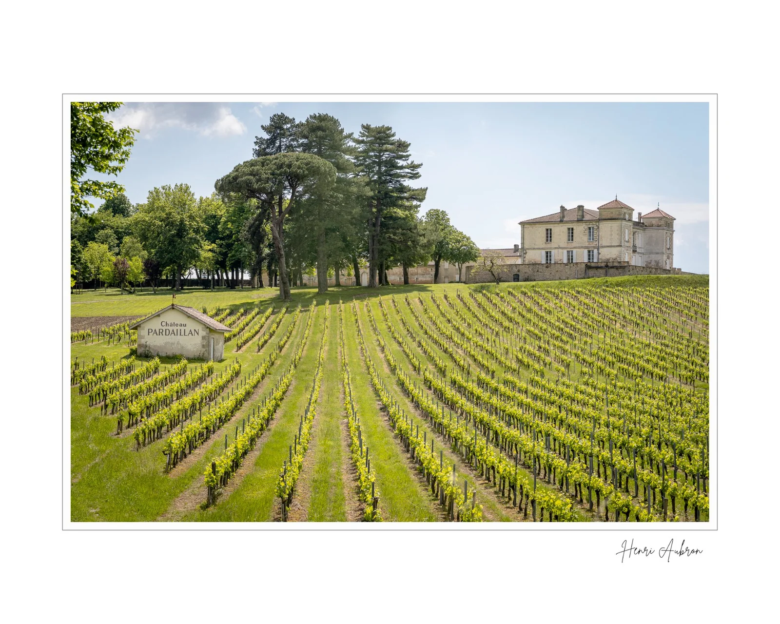 De la vigne aux lèvres - 20.jpg