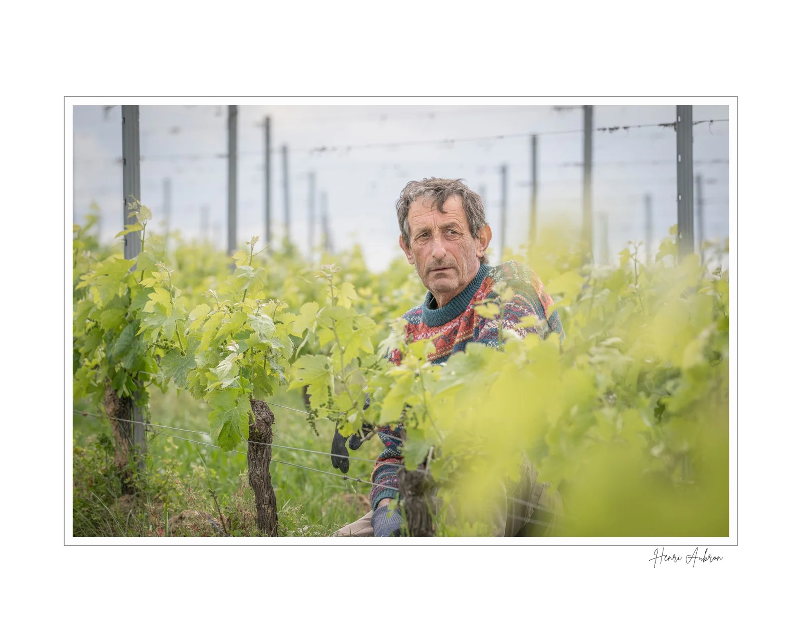 De la vigne aux lèvres - 50.jpg