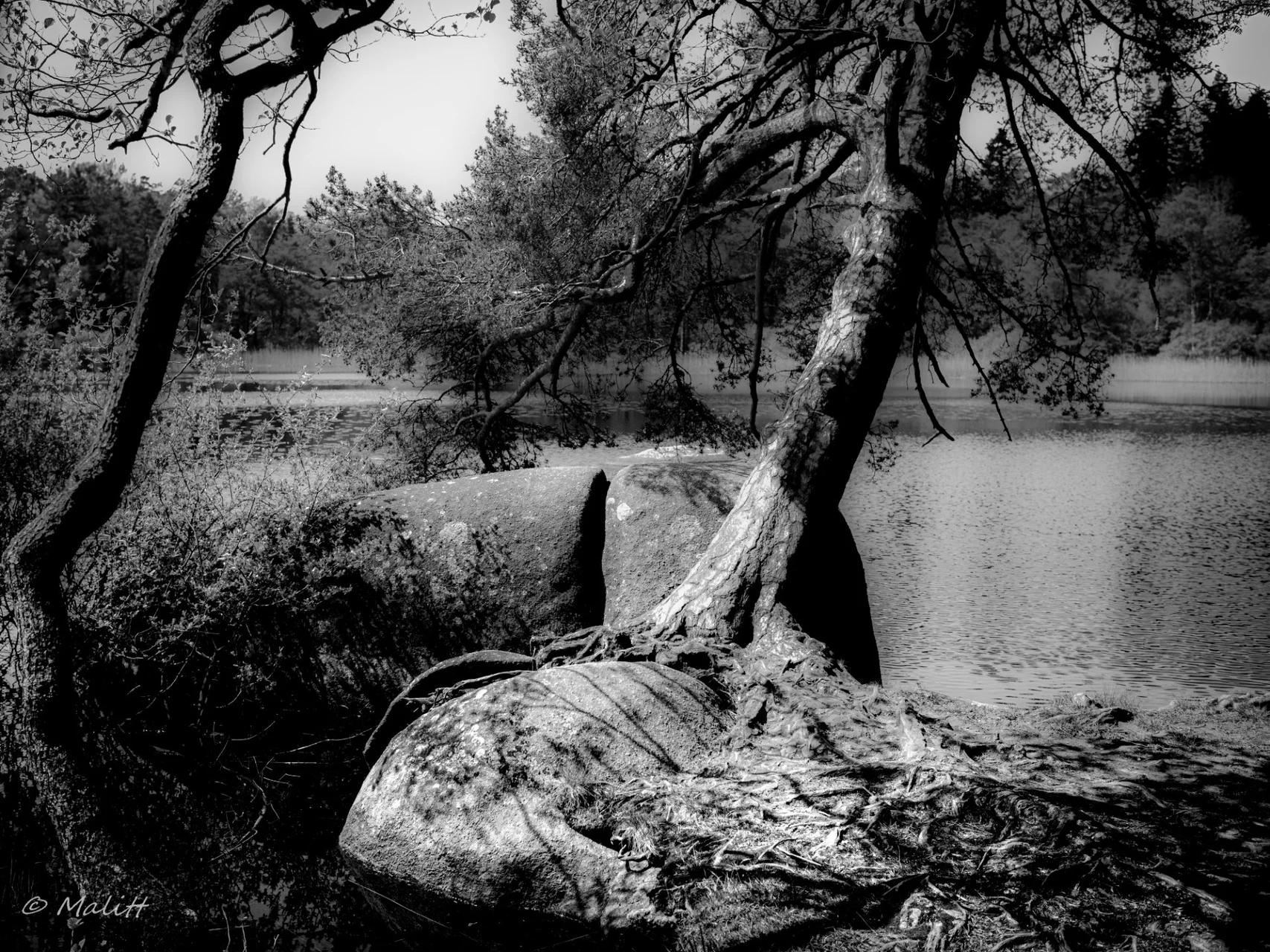 Escapade dans le Sidobre - 18.jpg