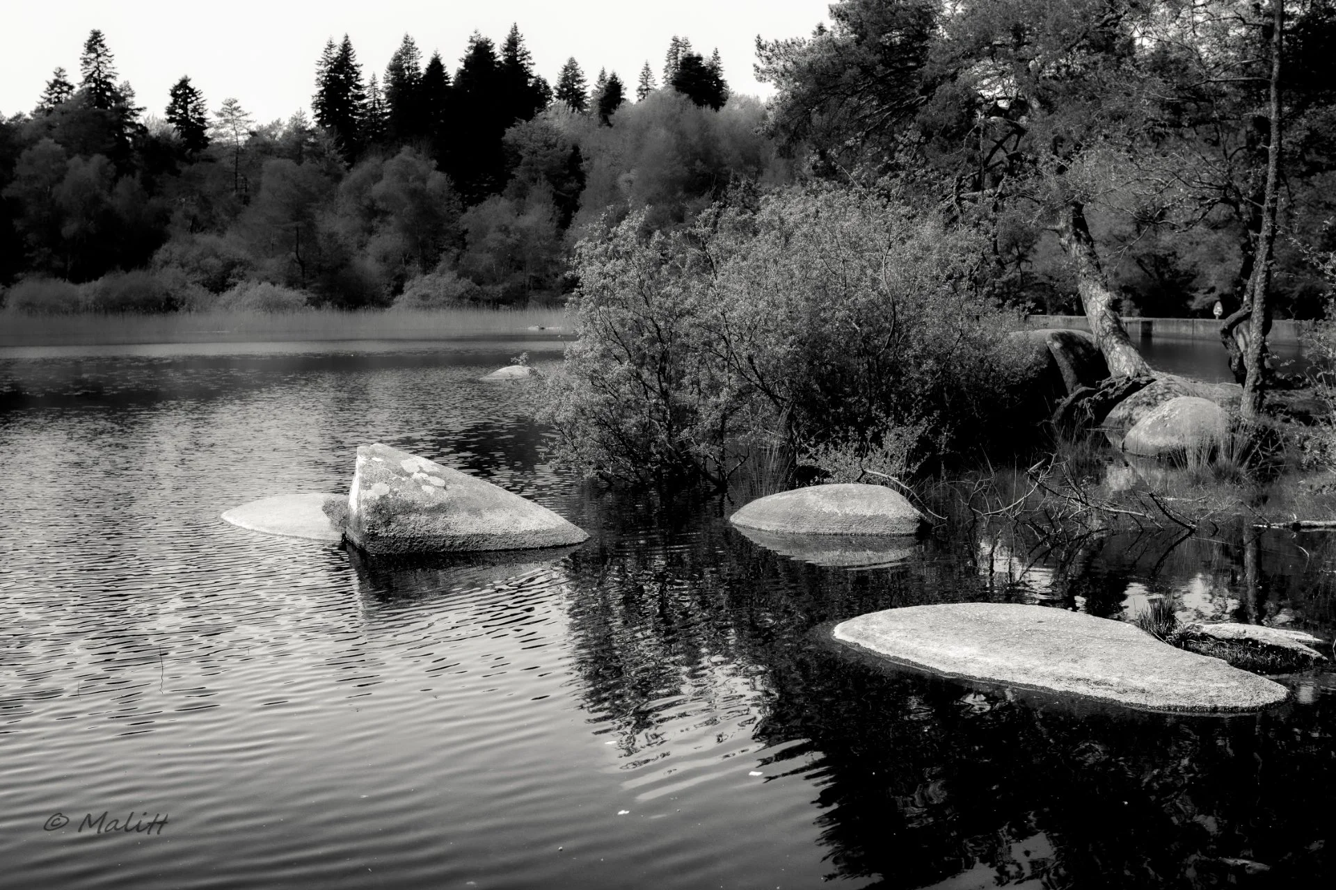 Escapade dans le Sidobre - 25.jpg