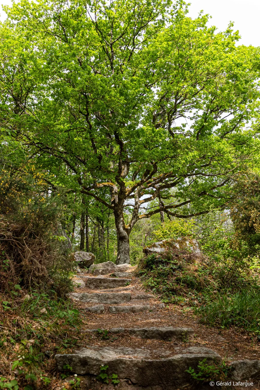 Escapade dans le Sidobre - 27.JPG