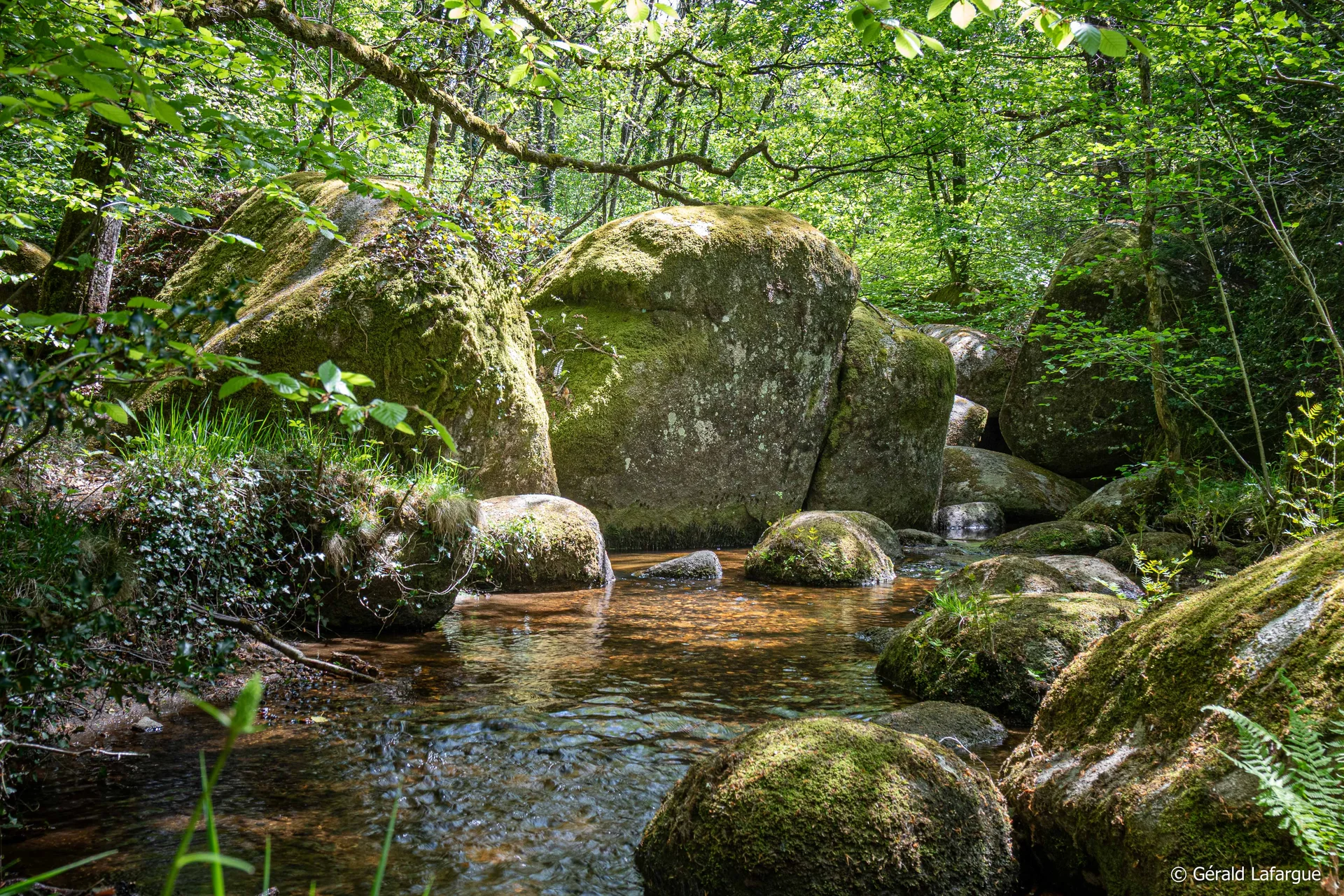 Escapade dans le Sidobre - 44.JPG