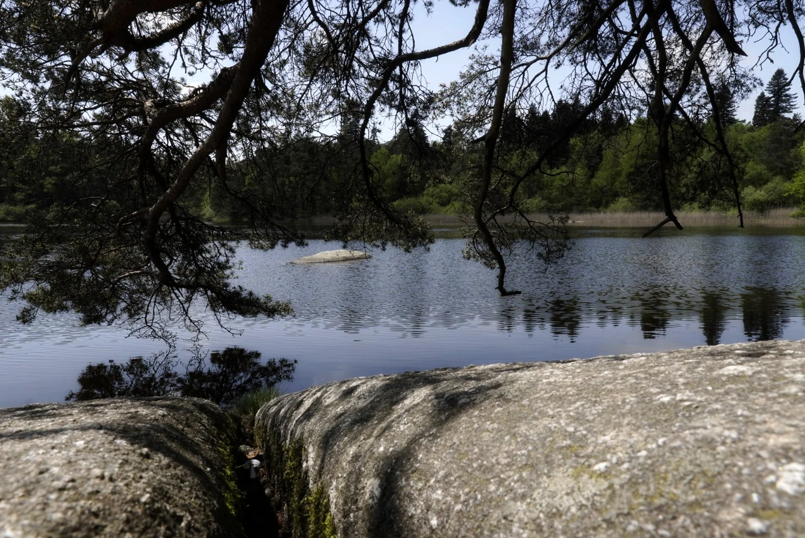Escapade dans le Sidobre - 81.jpg