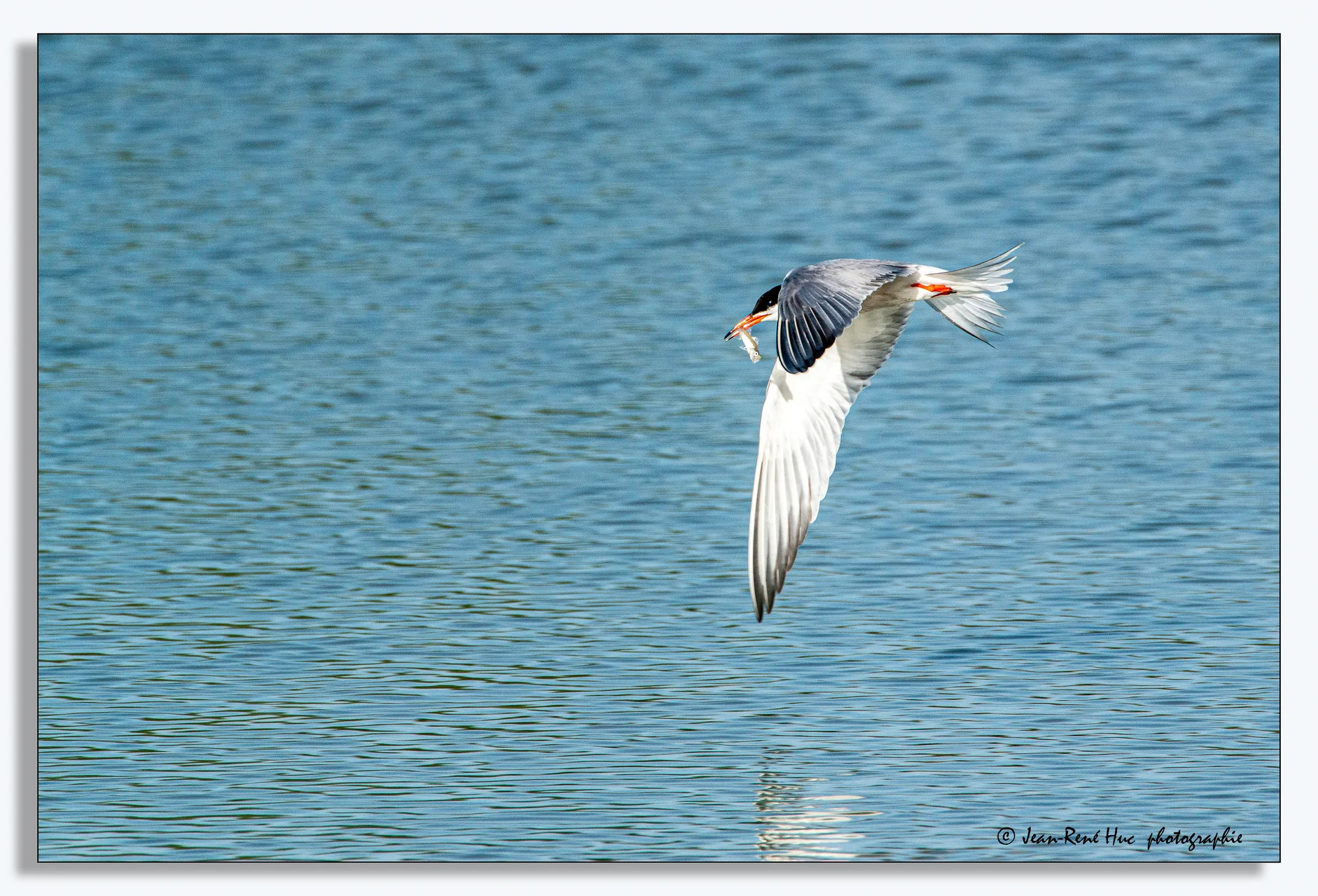 Exposition virtuelle du Photo-Club - 18.jpg