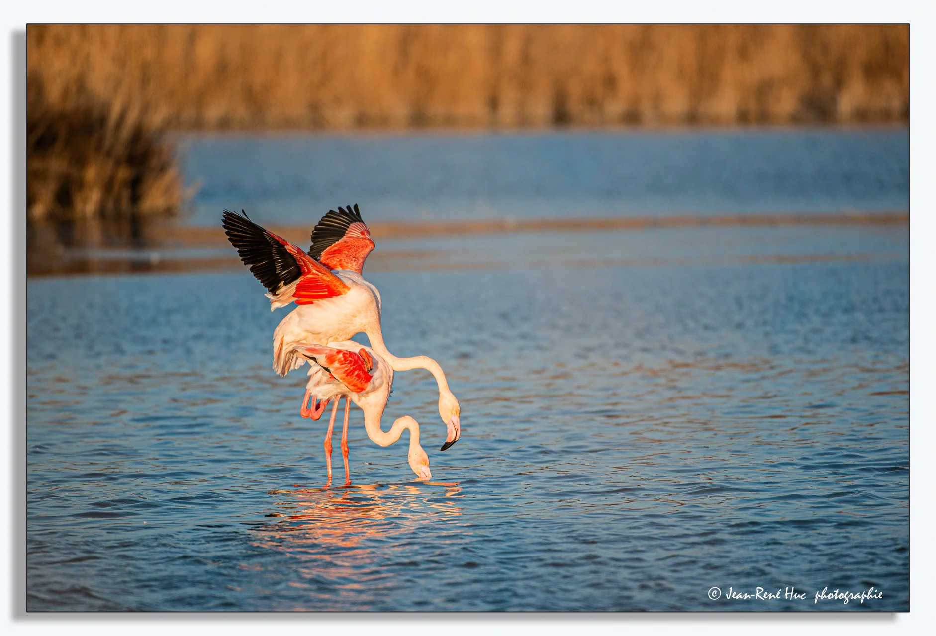Exposition virtuelle du Photo-Club - 48.jpg