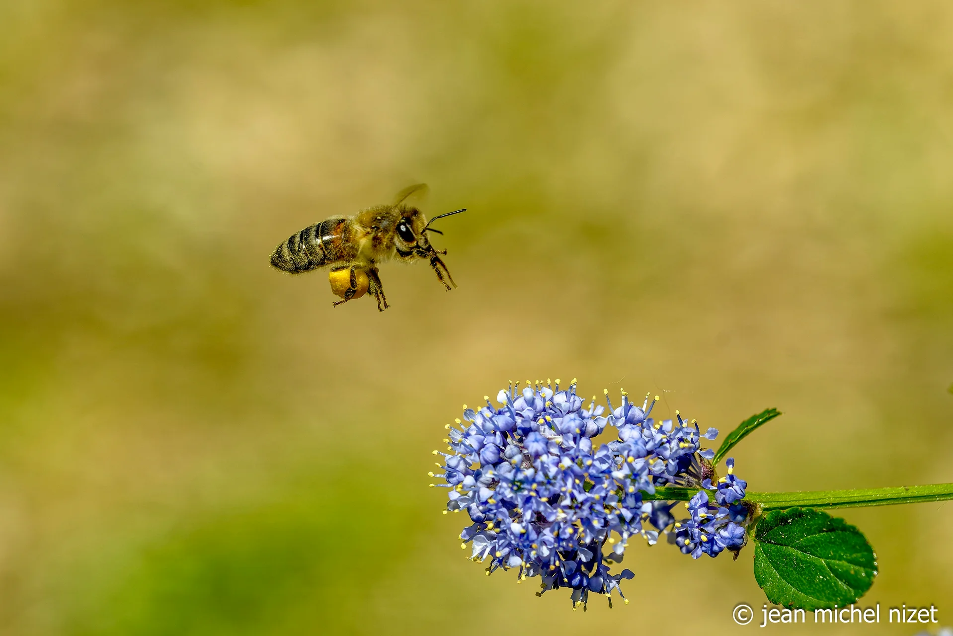 Exposition virtuelle du Photo-Club - 8.jpg