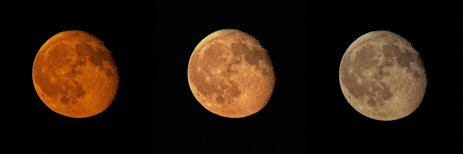 Nuit des étoiles - 531388620_10236763468696405_1399547551863681200_n.jpg