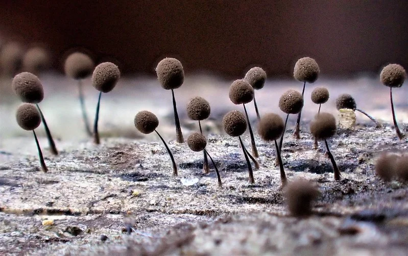 Portfolio Anne-Marie Rantet-Poux - anne marie.jpg