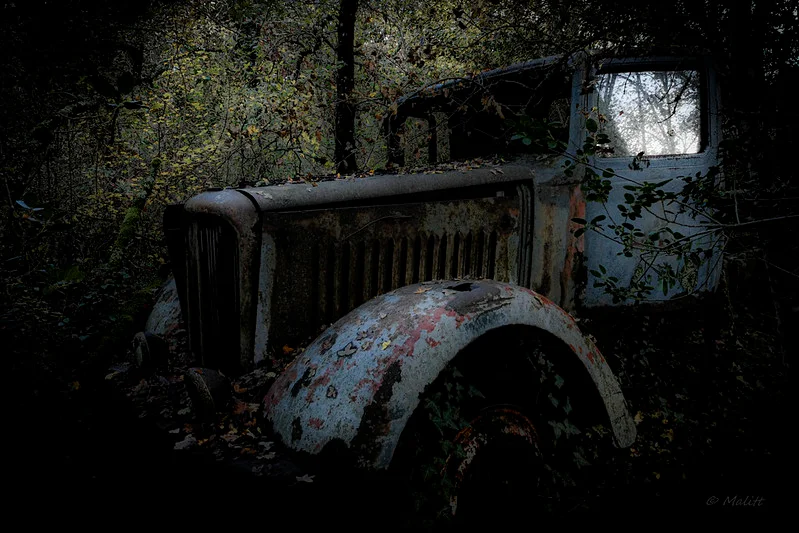 Portfolio Martial Littière - martial.jpg