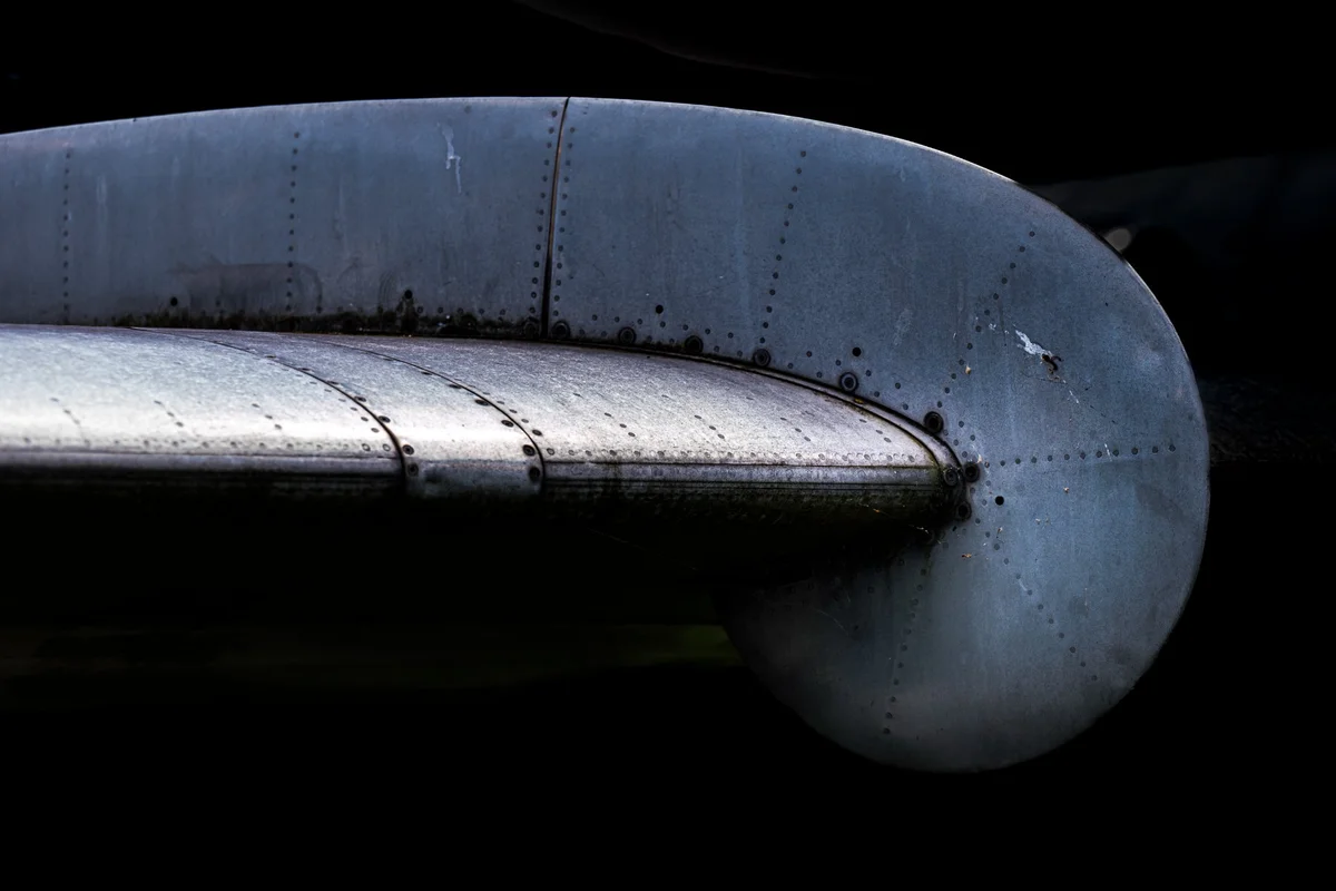 Aeroscopia - L1000139.jpg