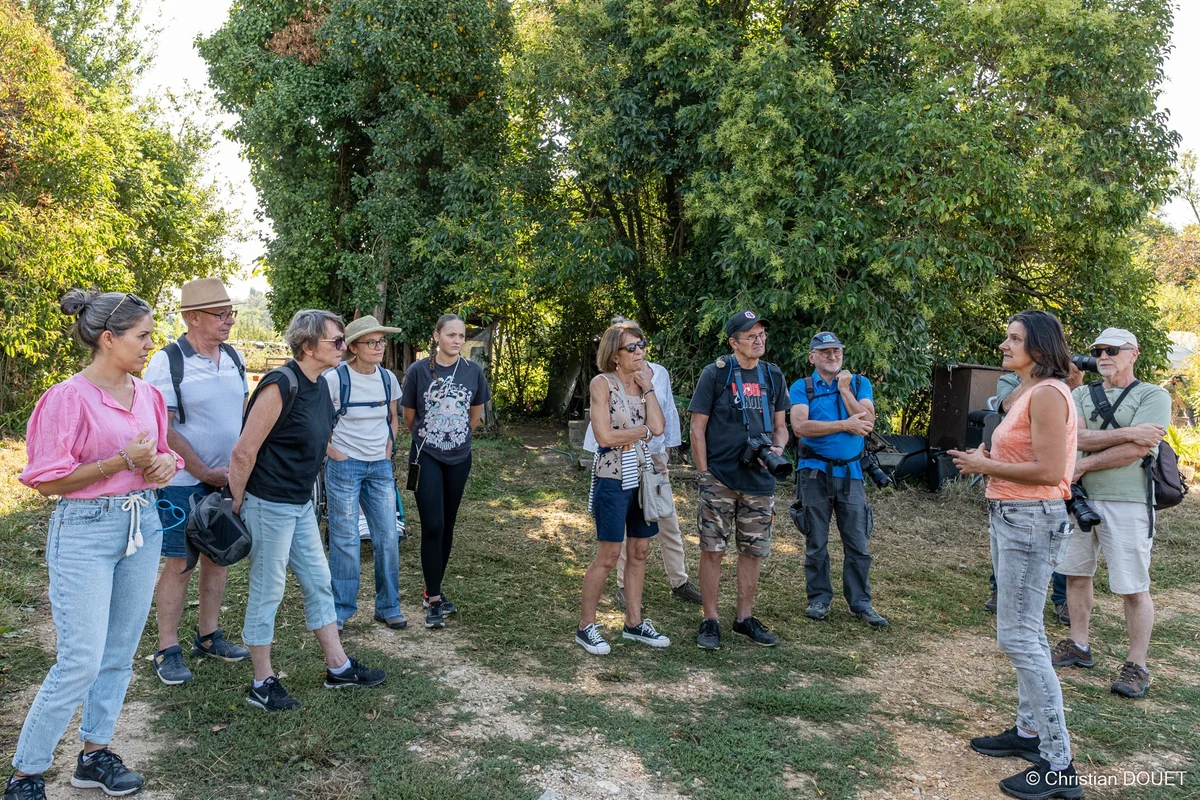 Alpagas & compagnie - 536287157_10228776834472545_1921293493722379317_n.jpg