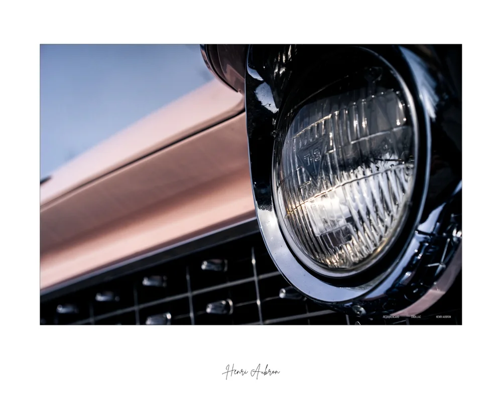 L'Art aux Jardins - Cadillac Rose 3.jpg