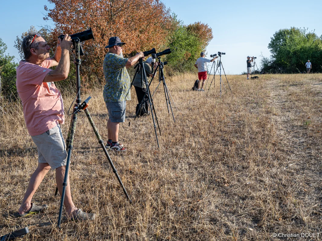 Nuit des étoiles et éclipse solaire - 2026-08-12 - Eclipse Puycelci -00024.jpg