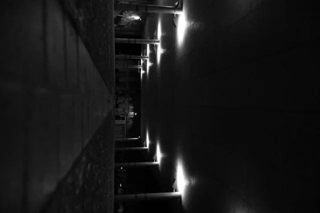 Sortie nocturne dans Montauban - Amy (1).jpeg