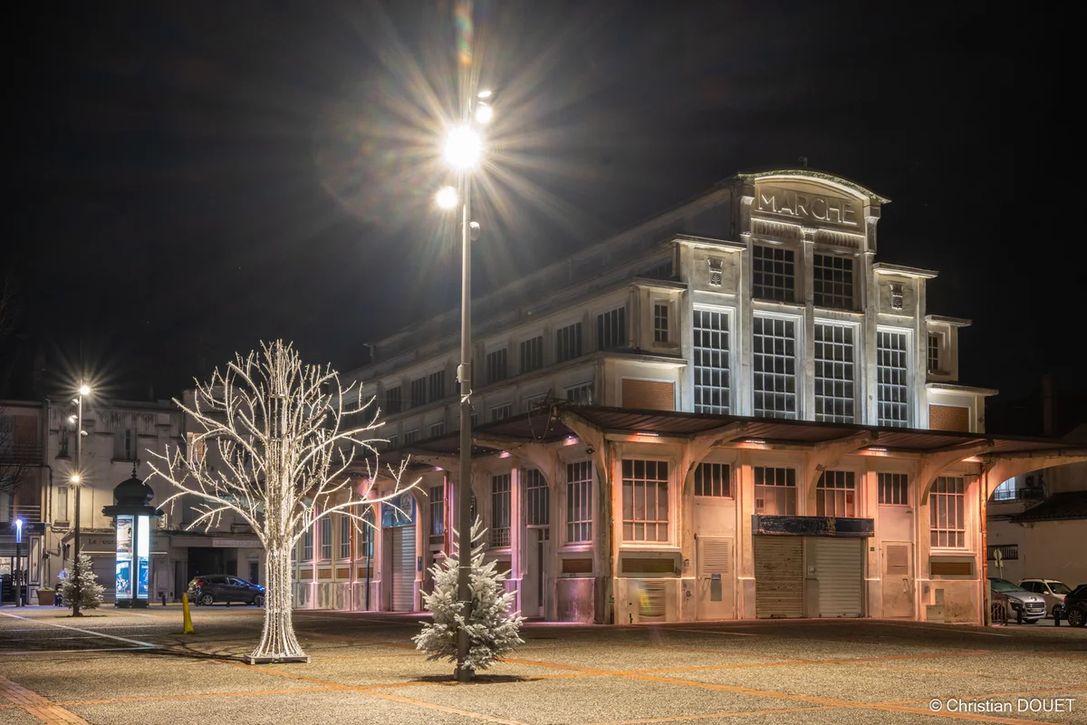 Sortie nocturne dans Montauban
