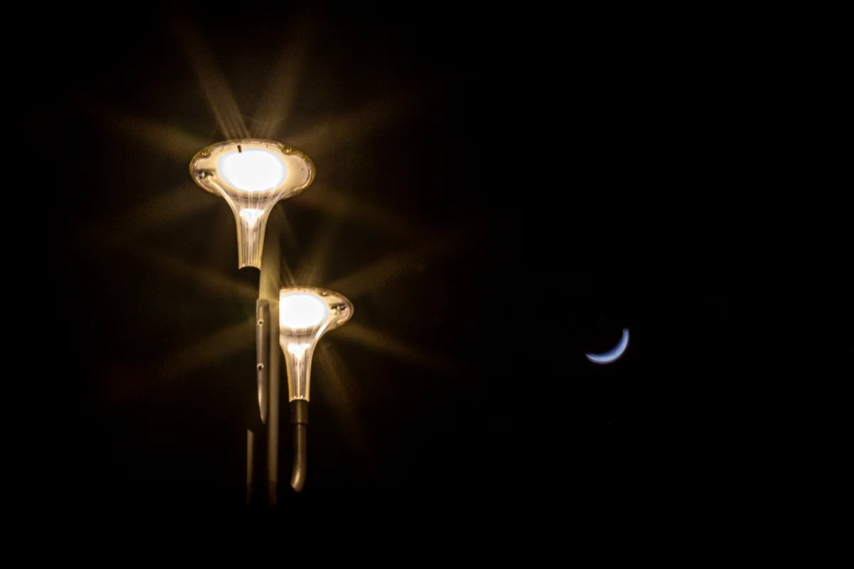 Sortie nocturne dans Montauban - Gérald (1).jpg