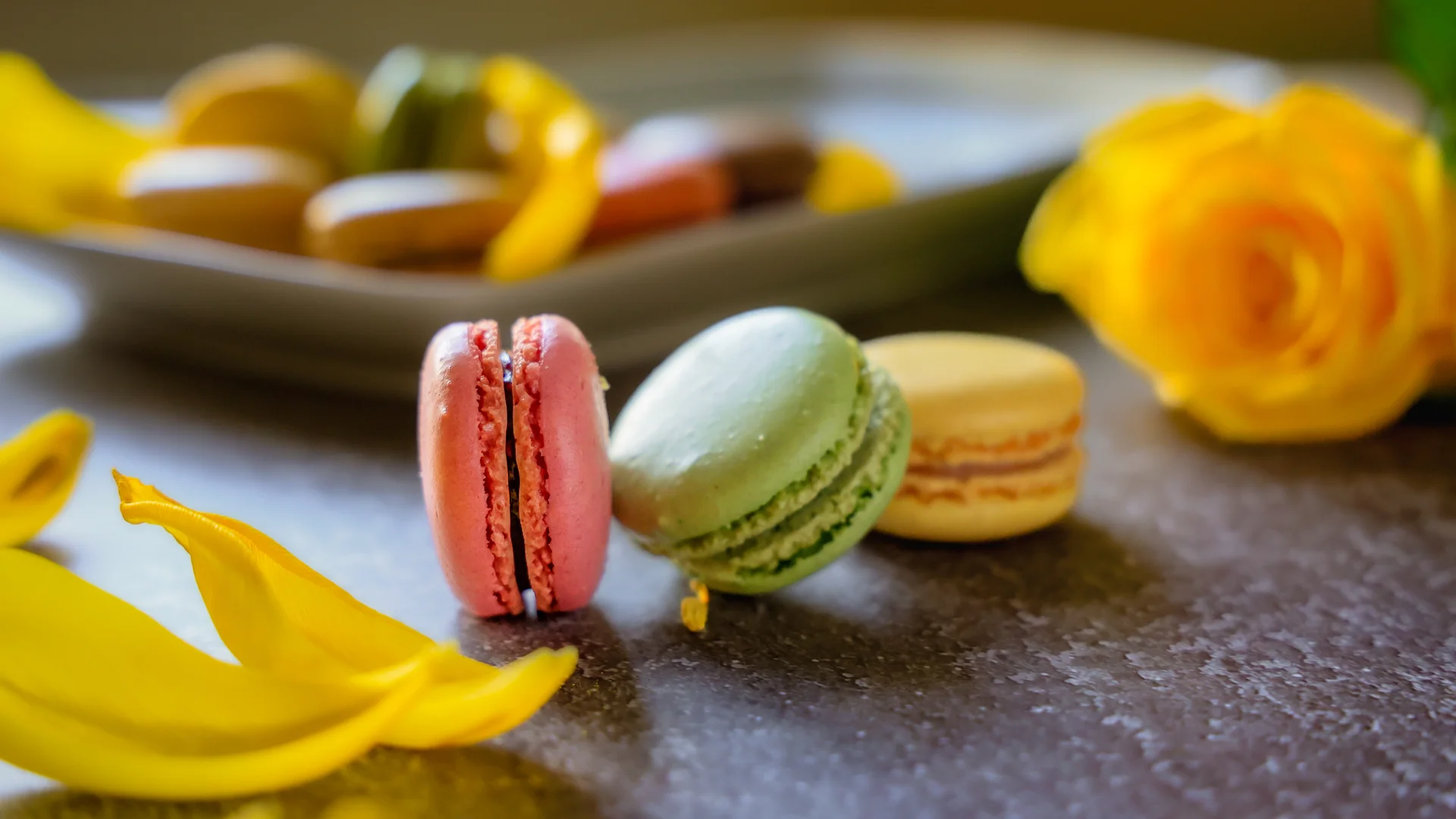 Photo du club - Slide 7